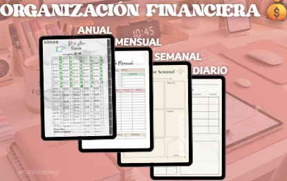 Organizacion financiera